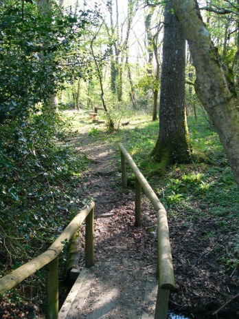 Play area in wood on the North Devon farm